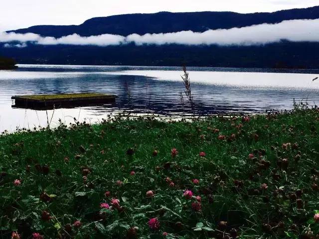 33.webp.jpg 世界杯投注